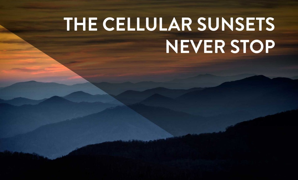 Cellular Sunsets Never Stop