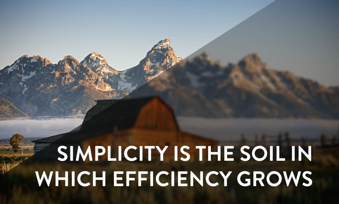 Simplicity is the soil in which efficiency grows