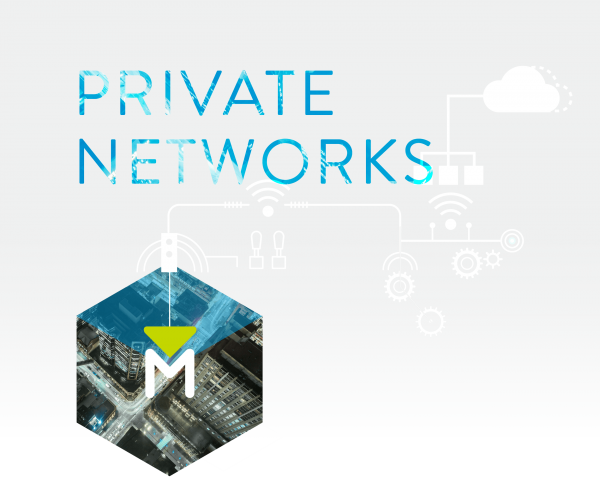 Ingenu Private Networks